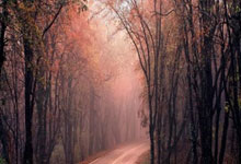 【光明时评】让更多人“喜冰乐雪”光明网-《光明日报.:88直播