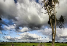 巴萨客场险胜马竞,总比分5-4晋级国王杯决赛将战皇马.:88直播