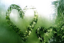 曼联球迷组织举行联合抗议活动,表达对格雷泽家族的抗议.